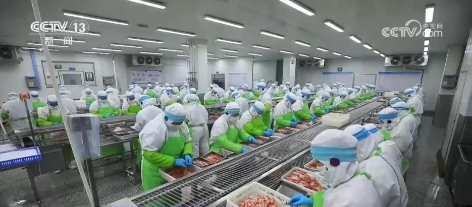 2.21萬億元、同比增長4.0% 我國一季度冷鏈物流需求穩(wěn)中有升